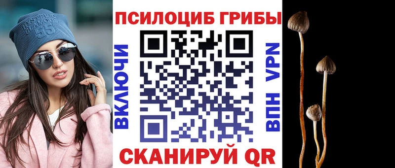 Галлюциногенные грибы Cubensis  blacksprut как зайти  Исилькуль  наркошоп 